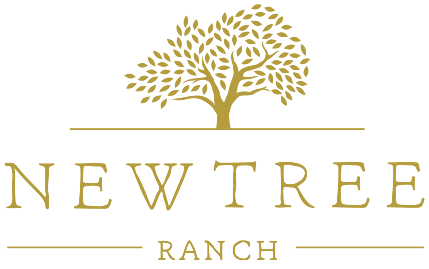 Experience NewTree Ranch: An eco-luxury farm stay in Healdsburg, Sonoma